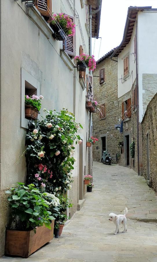 Casa Agata, Accogliente Appartamento Nel Centro Storico Cortona Exterior foto